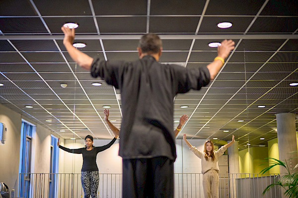 Tai Chi vervolg