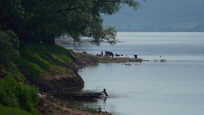 Silent Flood