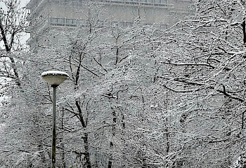 Welke invloed heeft de sneeuw op mijn bezoek?