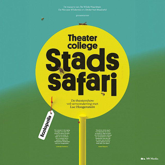 Stadssafari
