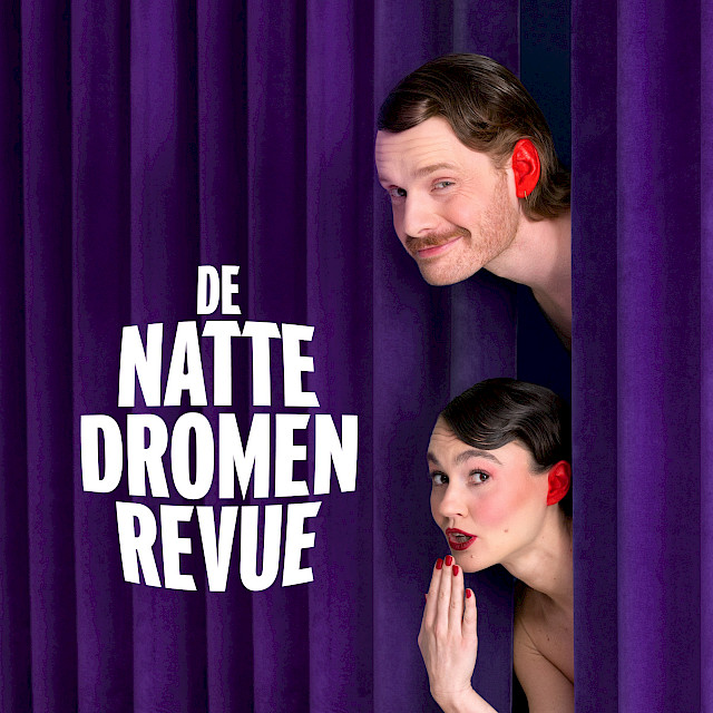 De Natte Dromen Revue