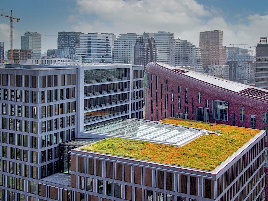 22-07-2021 | Griffioen gaat verhuizen